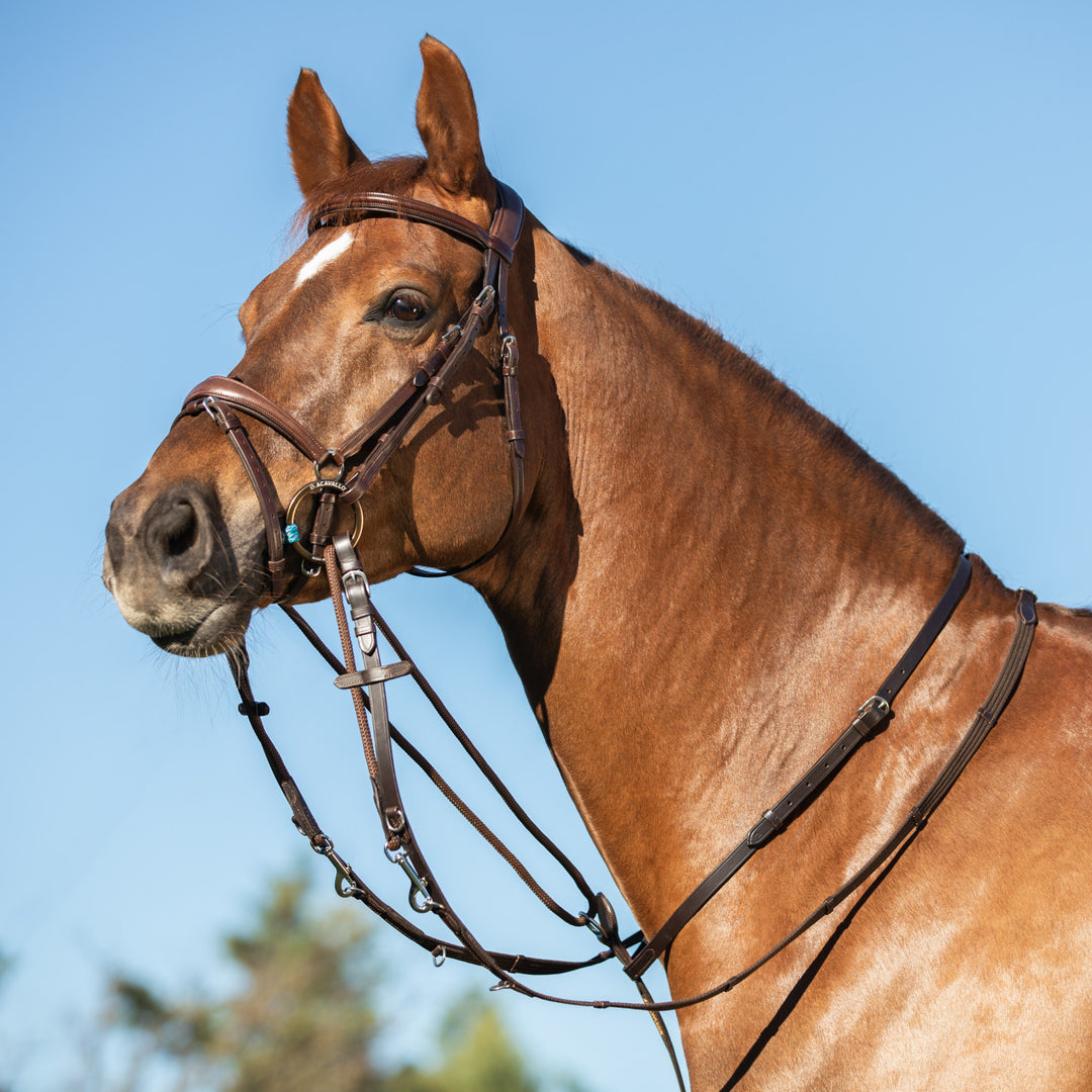 Thiedemann reins tubular nylon