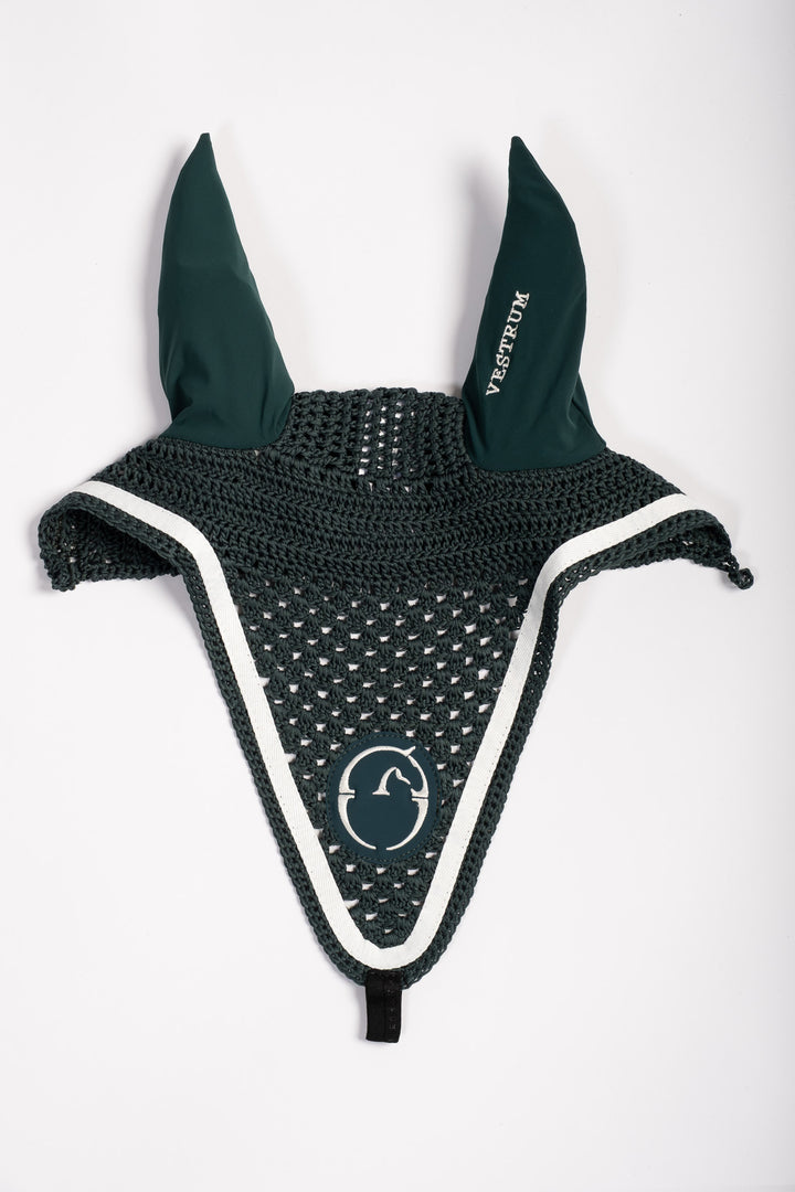 Augusta Ear Net