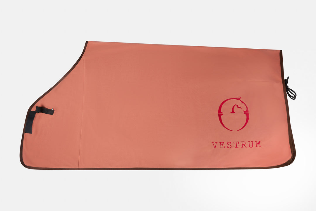 Vicenza Pile Rug