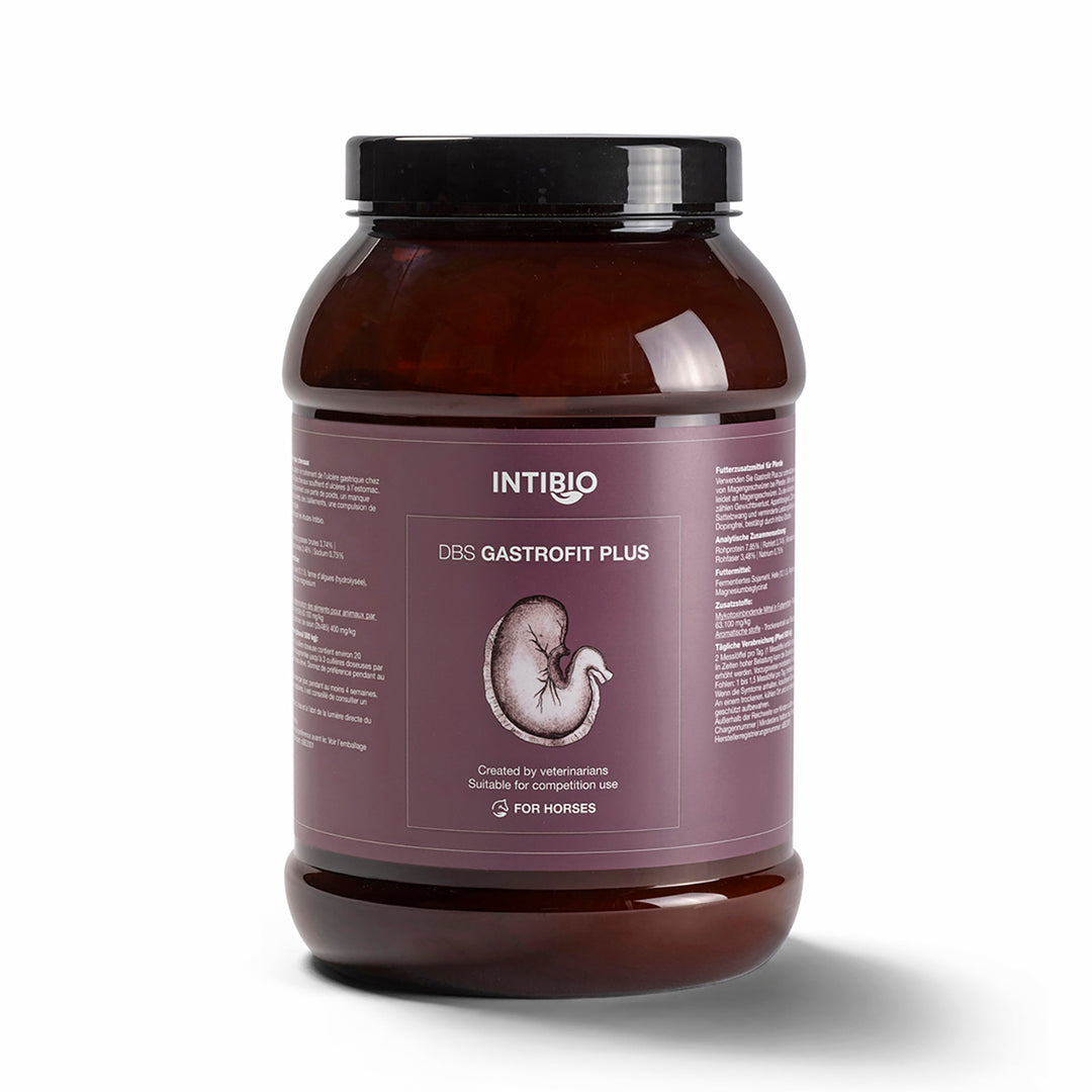 DBS Gastrofit Plus