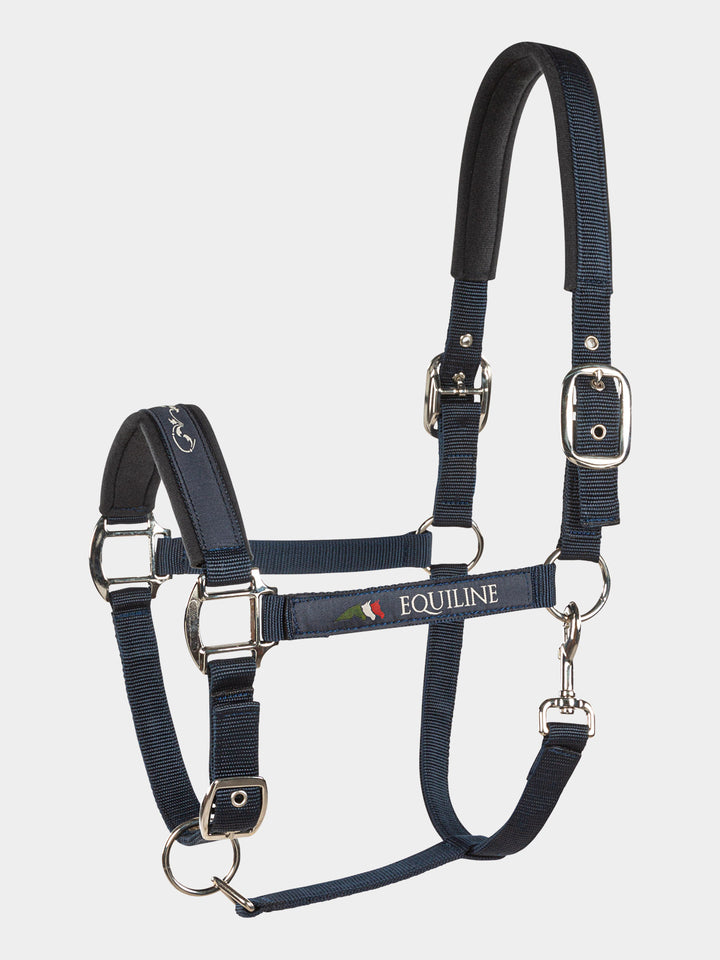 Timmy - Halter