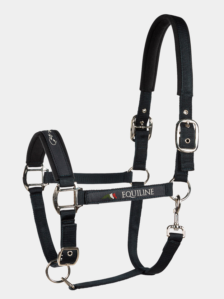 Timmy - Halter