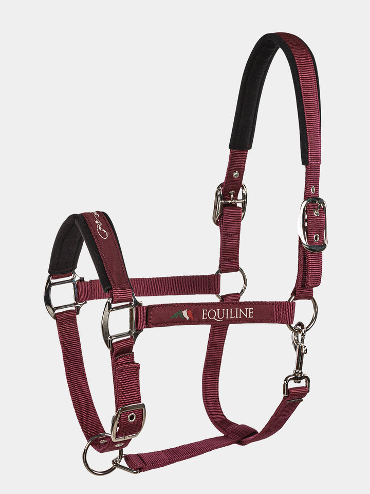 Timmy - Halter