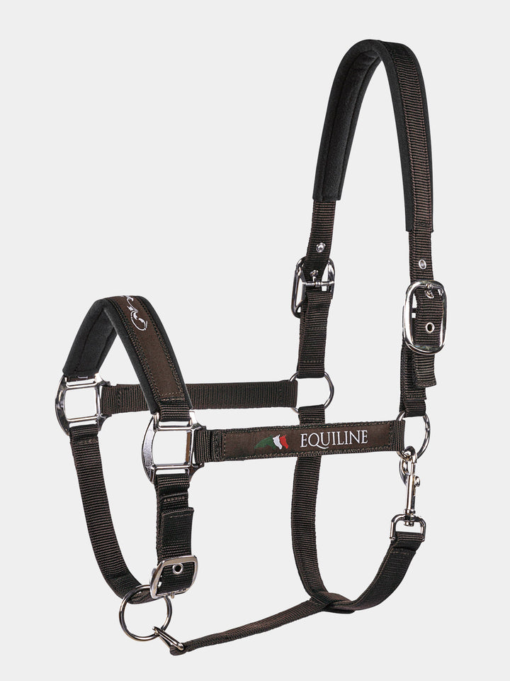Timmy - Halter