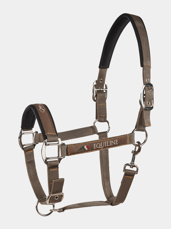 Timmy - Halter