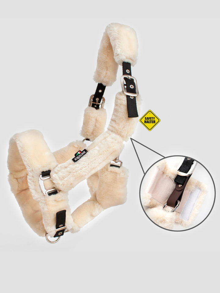 Terris - Field Safe Headcollar