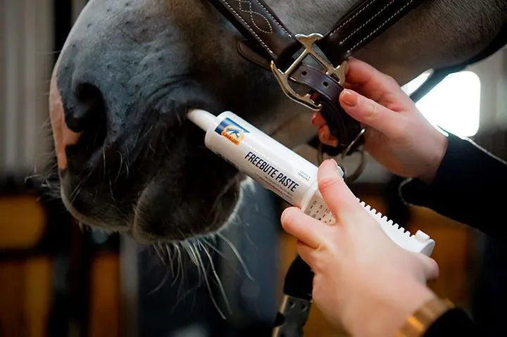 FreeBute Paste