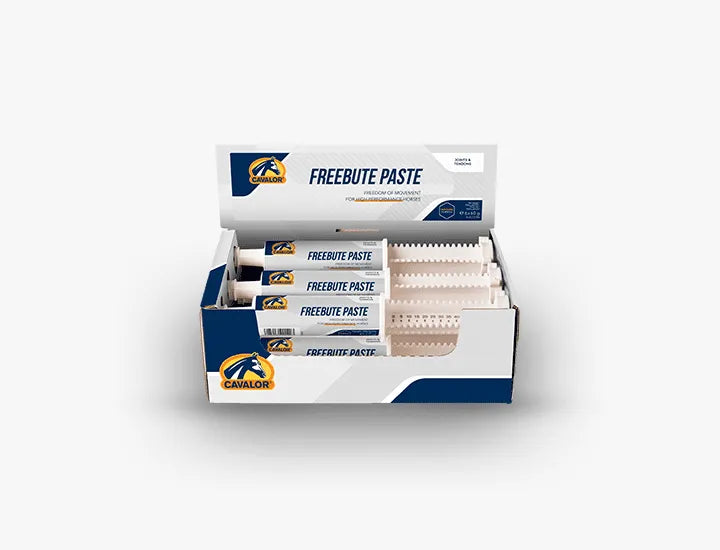 FreeBute Paste