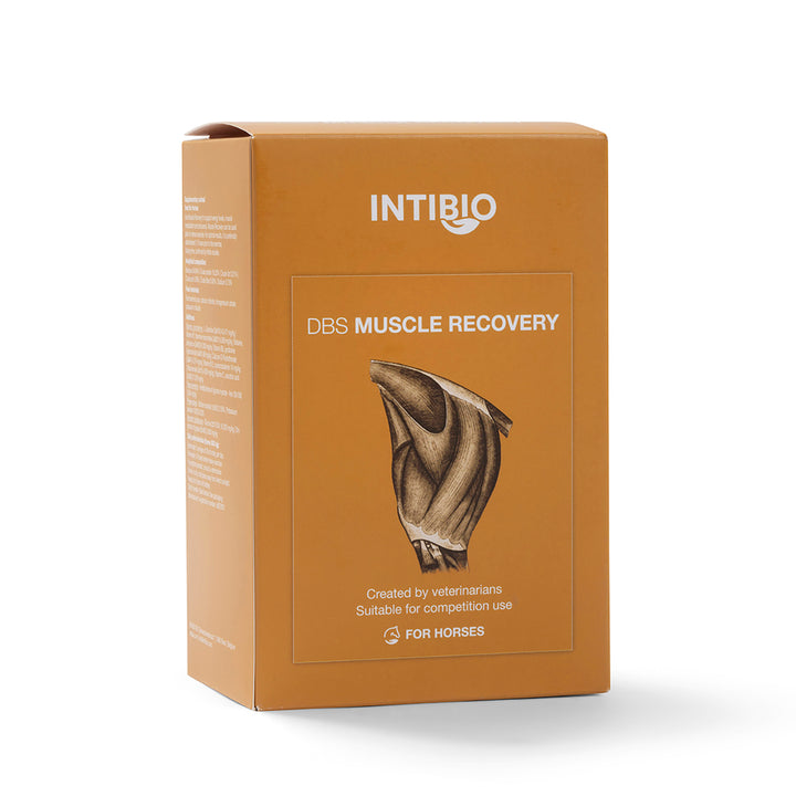 DBS Muscle Recovery
