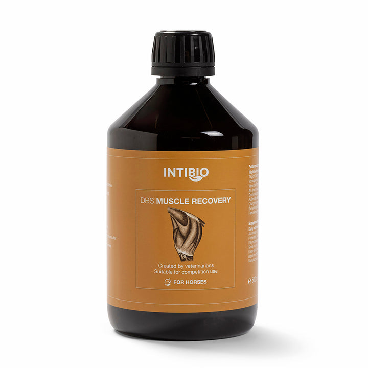 DBS Muscle Recovery