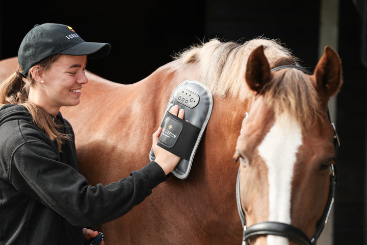 Massage mitt hotspot