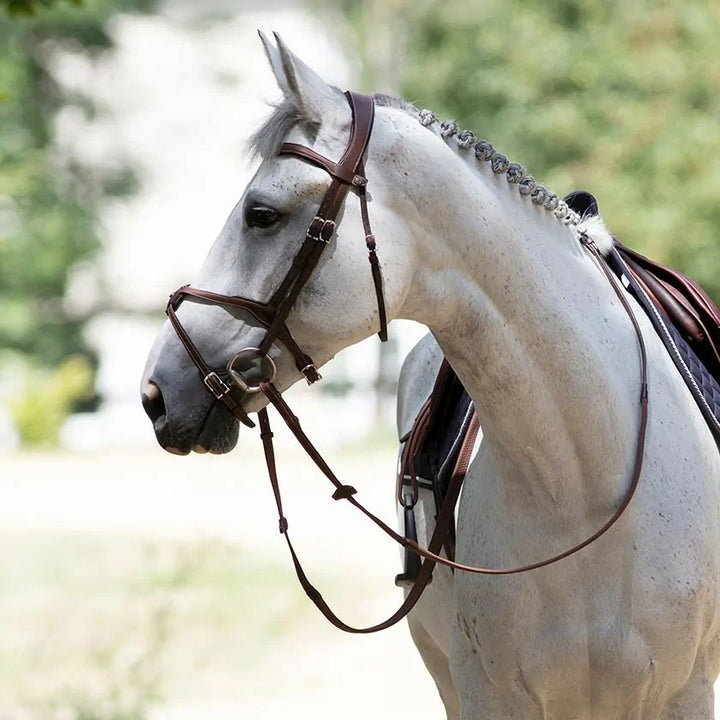 Origin anatomic figure 8 noseband bridle