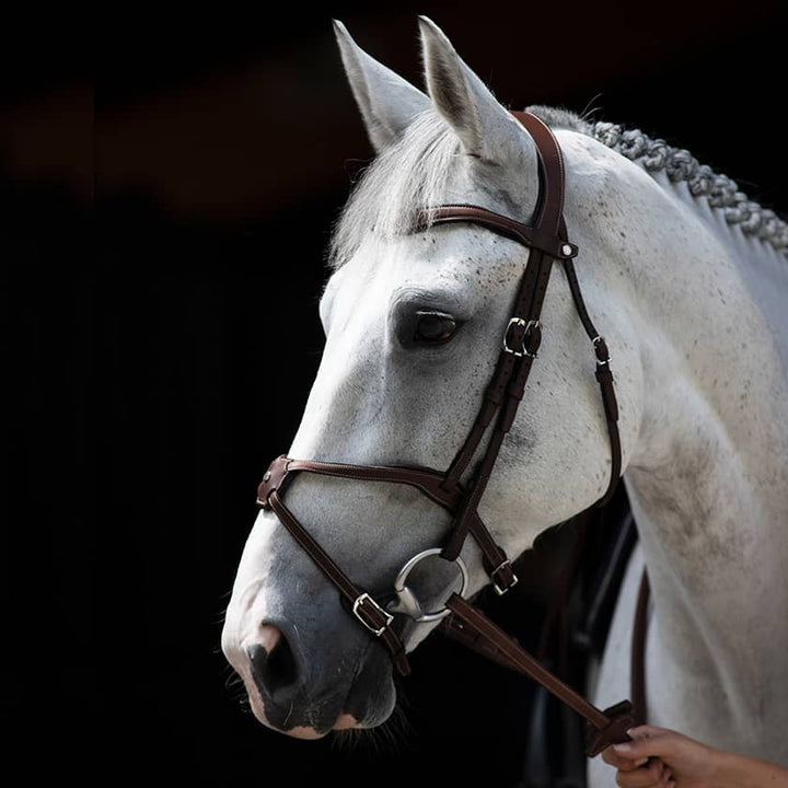 Origin anatomic figure 8 noseband bridle