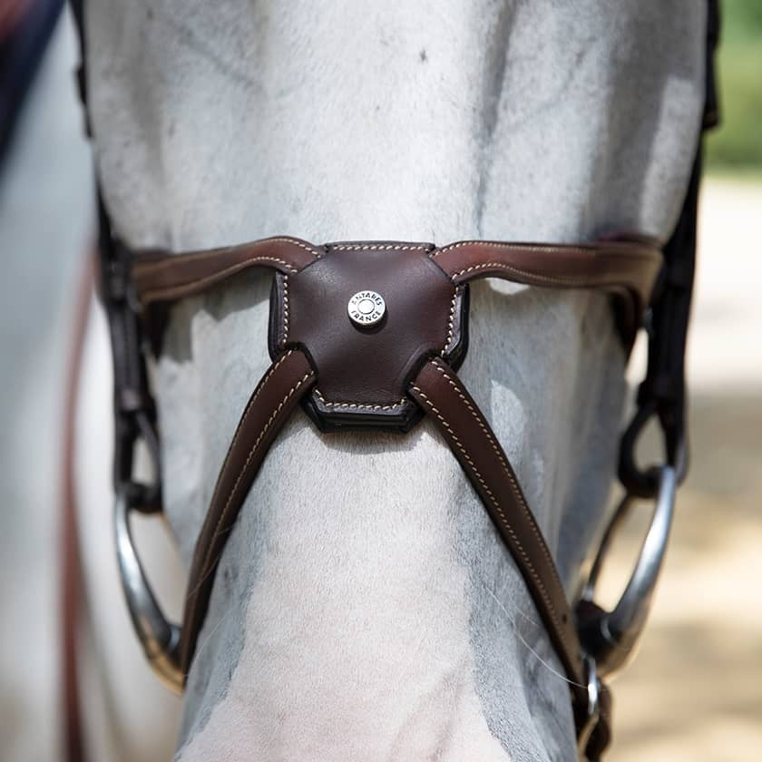 Origin anatomic figure 8 noseband bridle