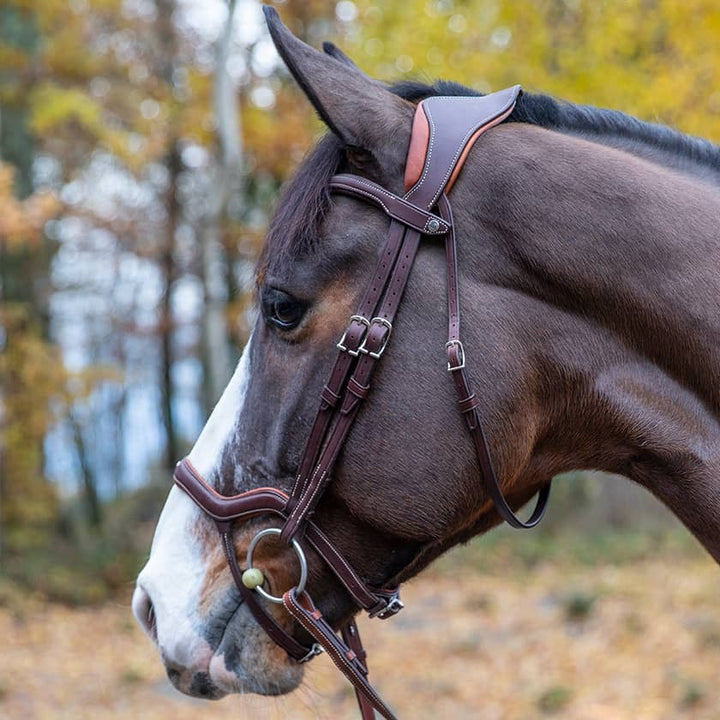 Precision Y noseband anatomic bridle