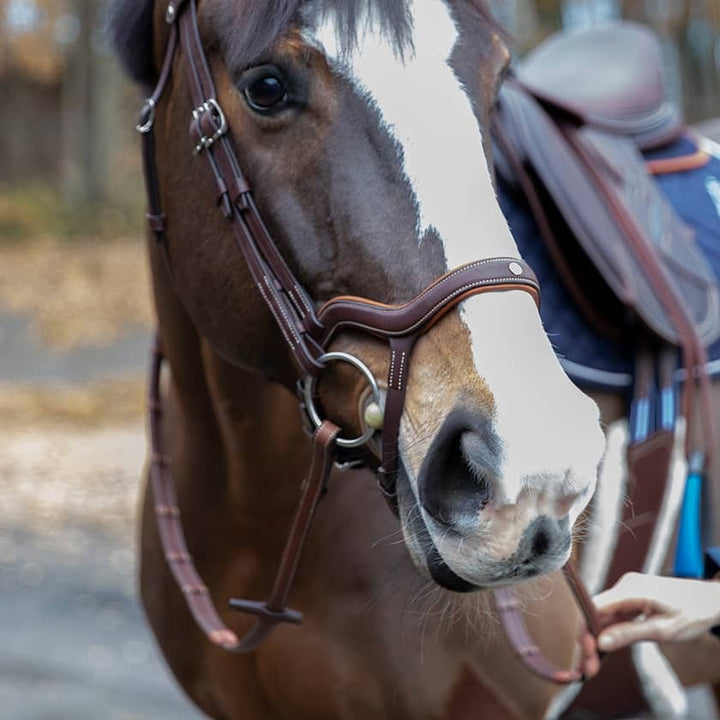 Precision Y noseband anatomic bridle