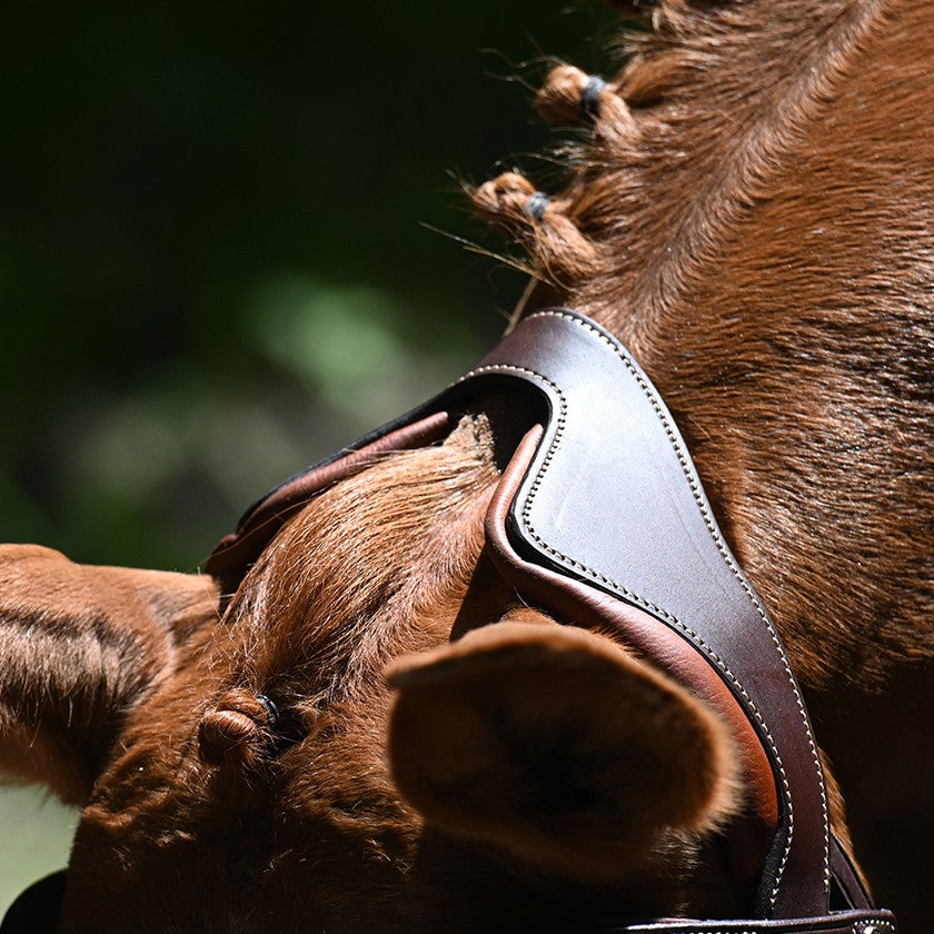 Precision Y noseband anatomic bridle