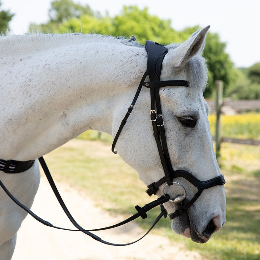 Precision Y noseband anatomic bridle