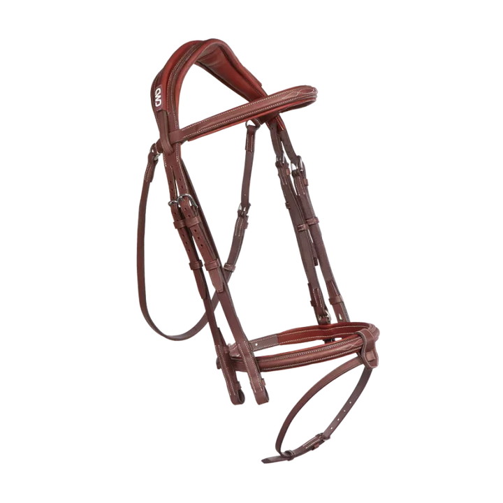 Anatomic bridle with fancy stitching