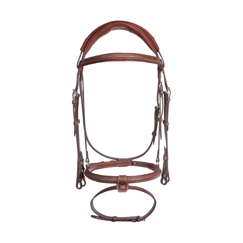Anatomic bridle with fancy stitching