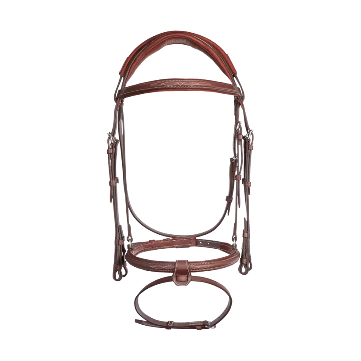 Anatomic bridle with fancy stitching