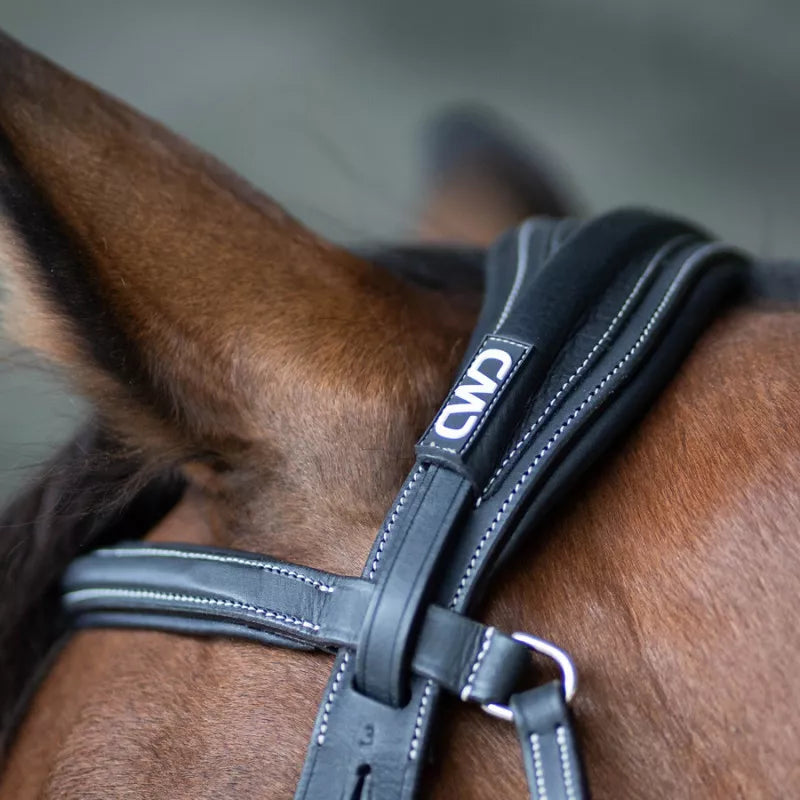 Anatomic bridle with fancy stitching