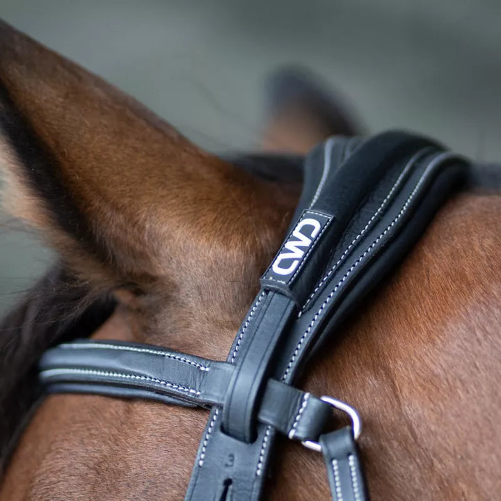 Anatomic bridle with fancy stitching