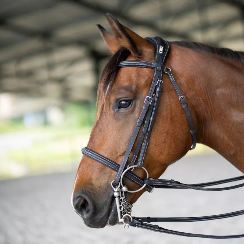 Anatomic bridle with fancy stitching