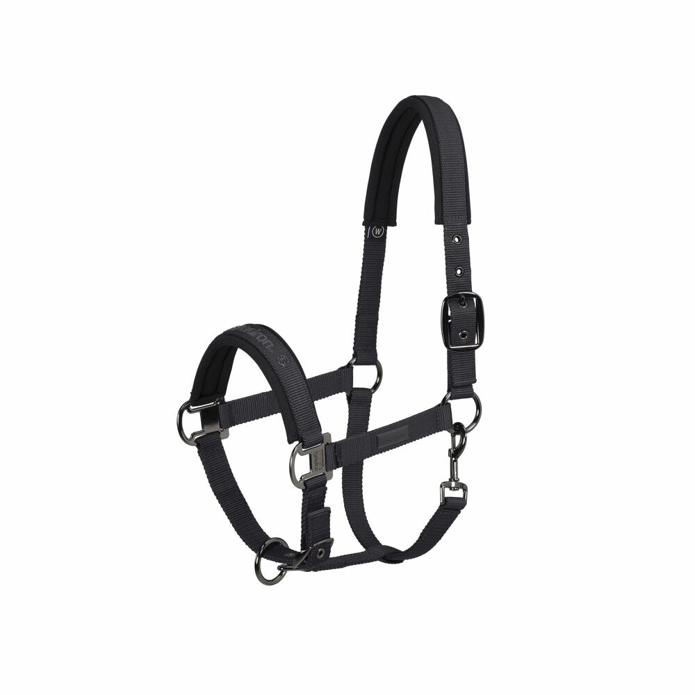 PIN-BUCKLE REFLEXX halter