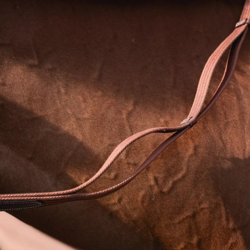 Contact loop web reins