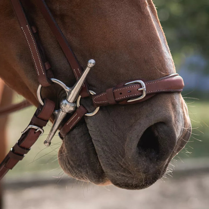 Drop Noseband