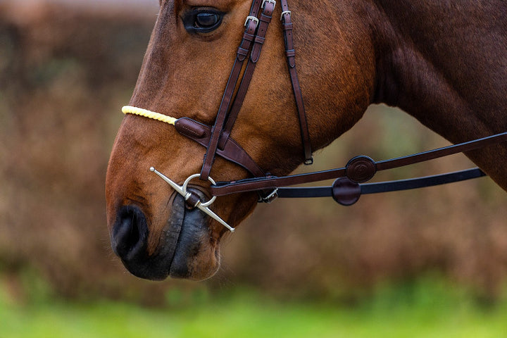 St. Gallen Rope noseb. Bridle