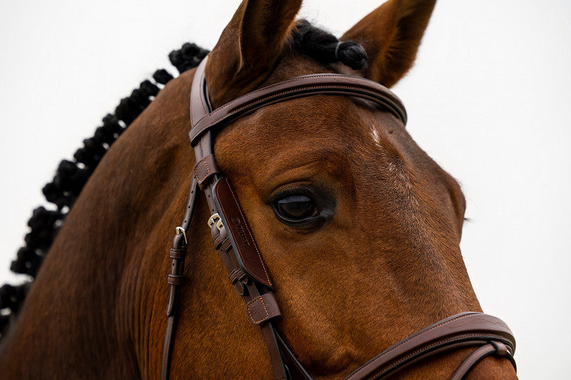 Leather blinkers
