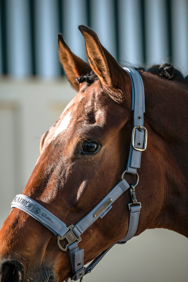 Headcollar Sparkle Double Pin Platinum 26