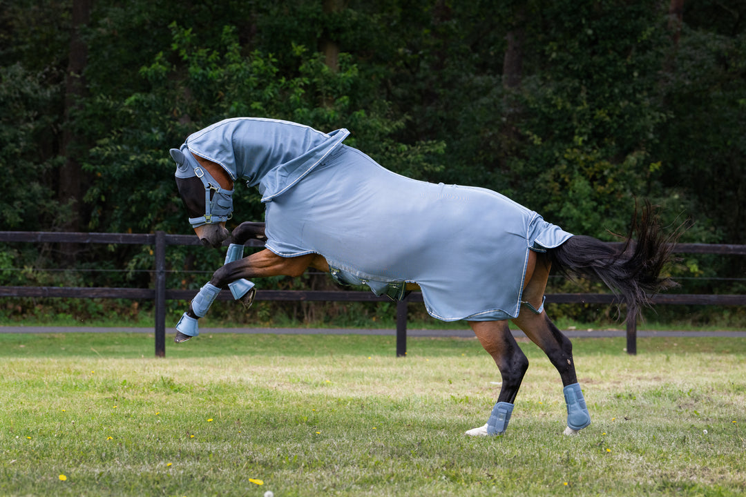 Fly Rug FLY DETACH-NECK CLASSIC SPORTS