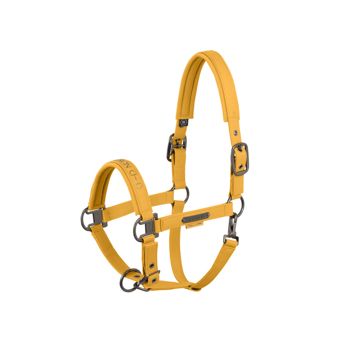 Halter FAUX LEATHER DOUBLE PIN PLATINUM