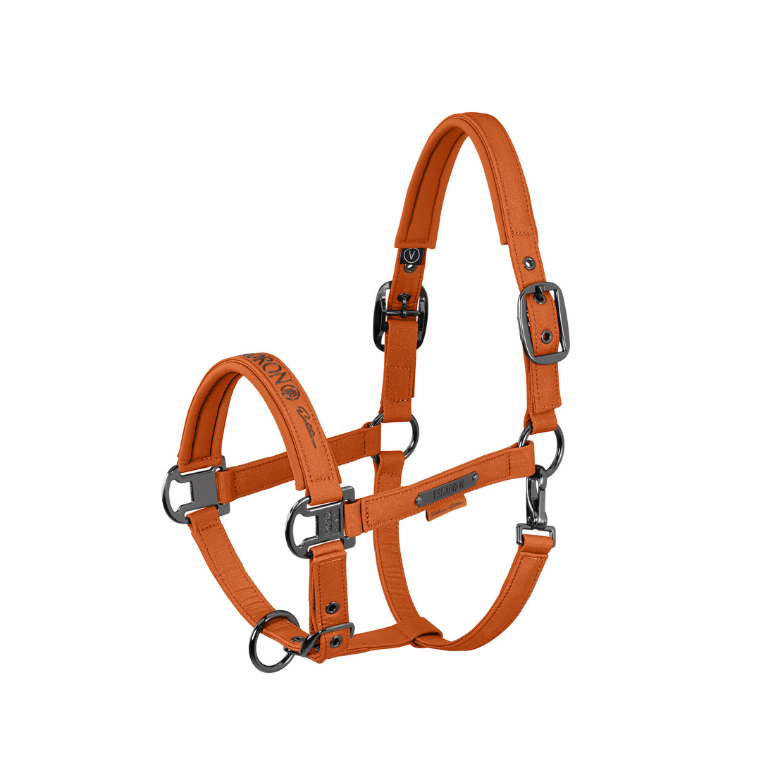 Headcollar Sparkle Double Pin Platinum 26