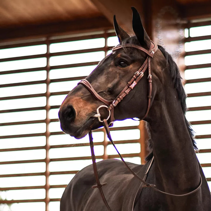 Flexmotion Bridle