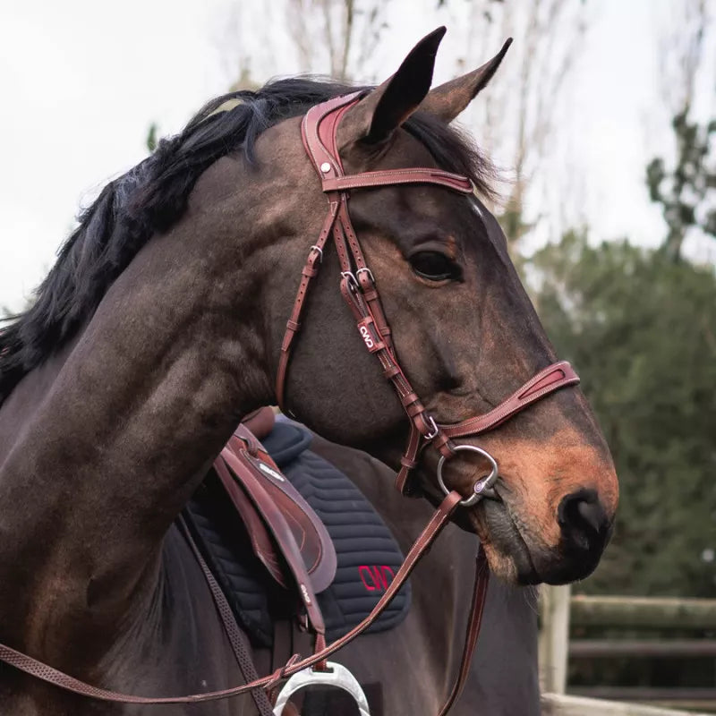 Flexmotion Bridle