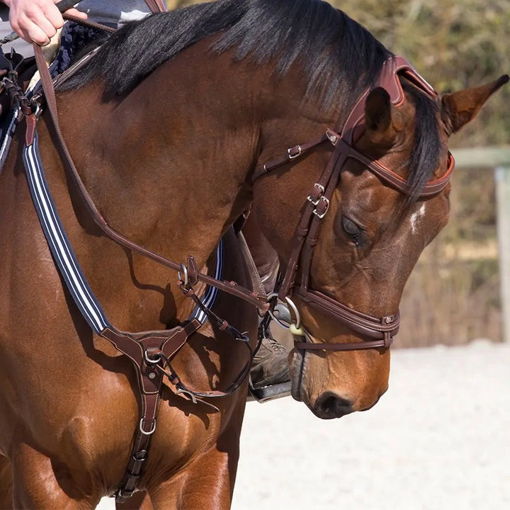 Grained elastic breastplate