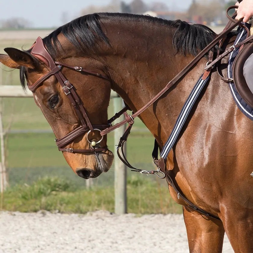 Grained elastic breastplate