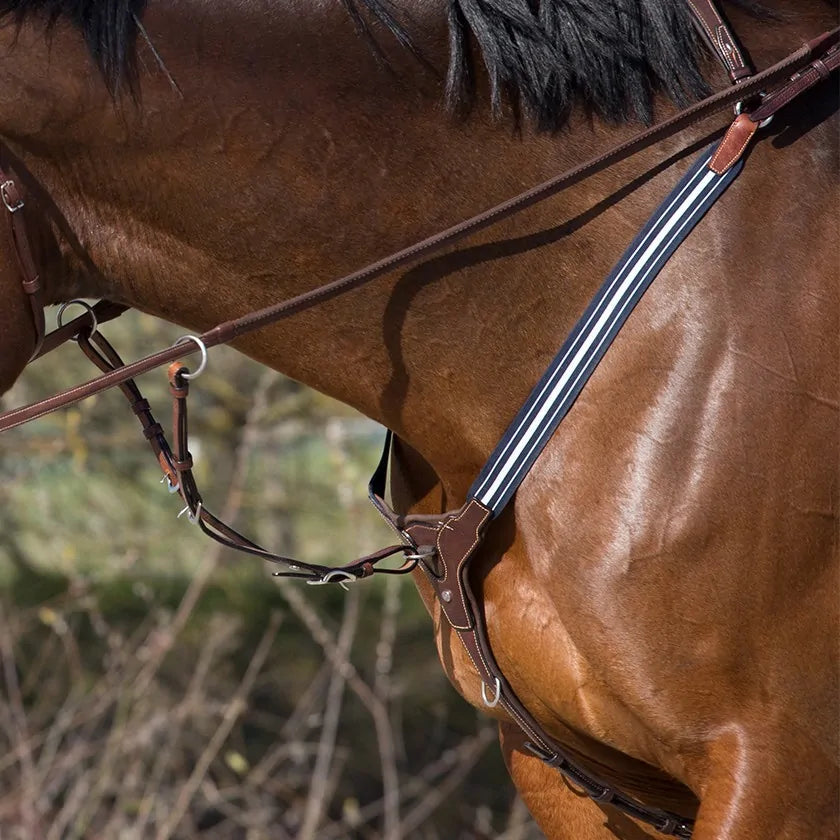 Grained elastic breastplate