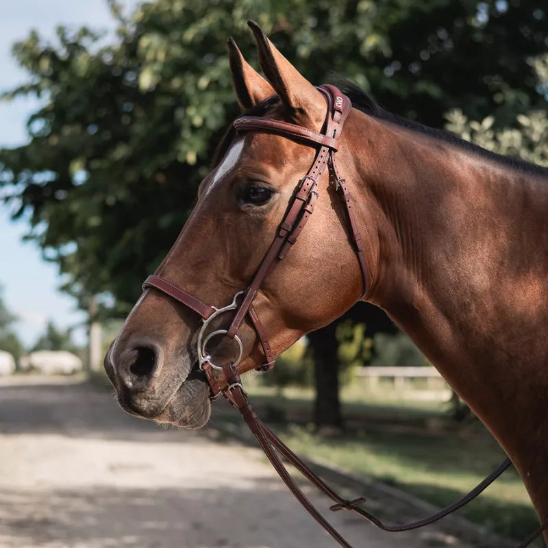 Hackamore noseband