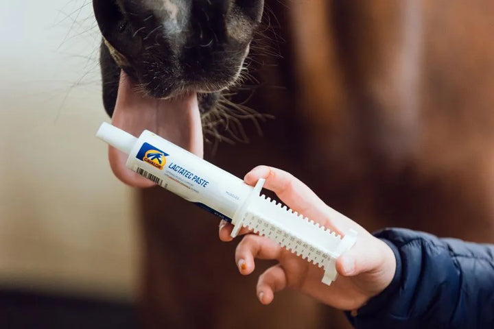 LactaTec Paste