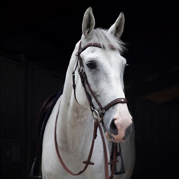 Origin anatomic drop noseband bridle