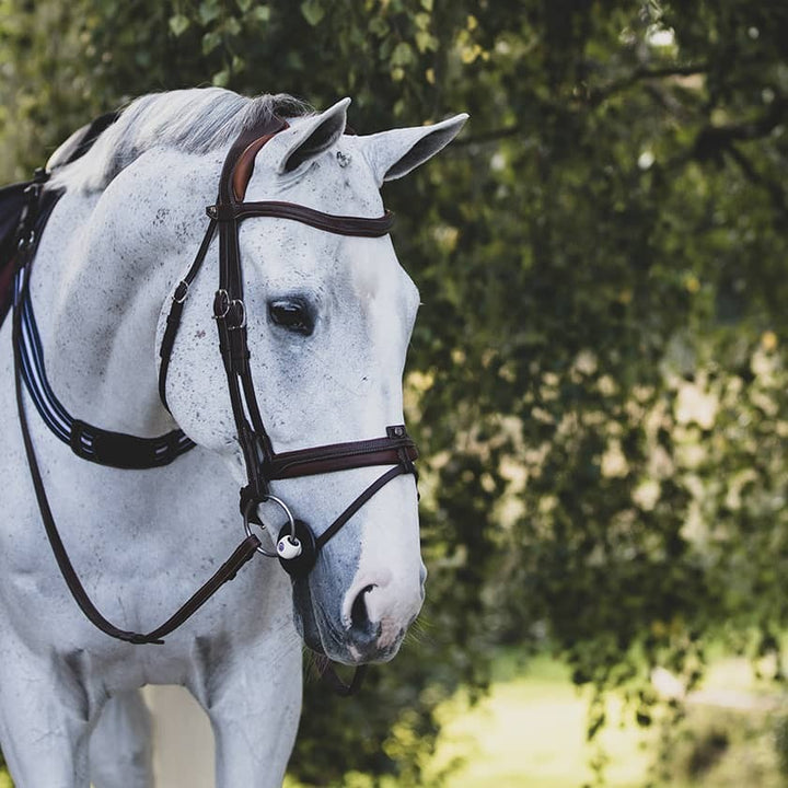 Precision anatomic comfort bridle