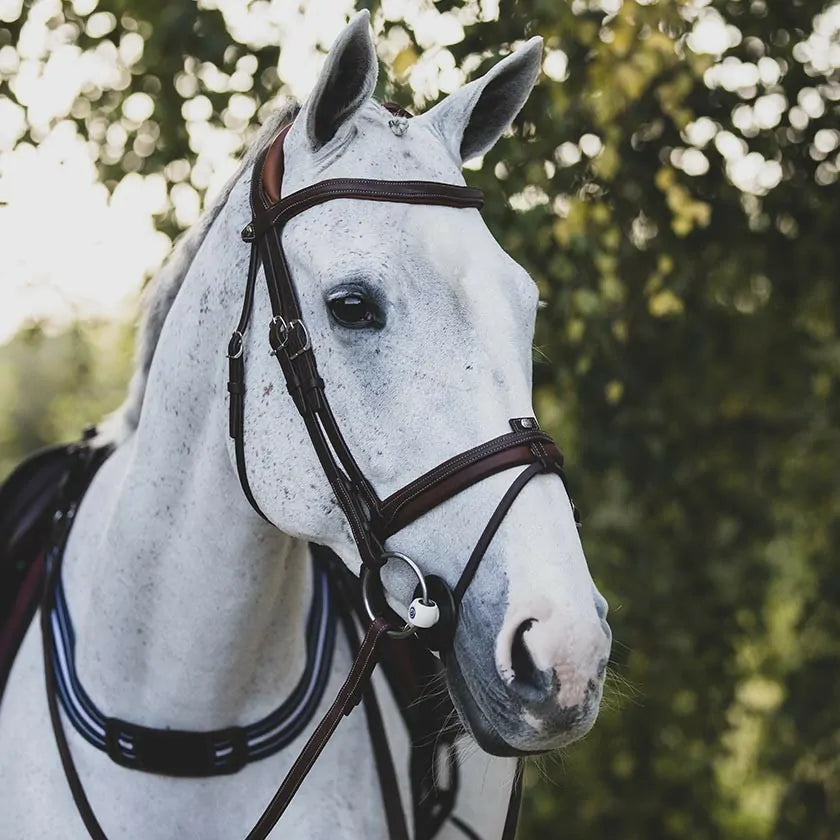 Precision anatomic comfort bridle