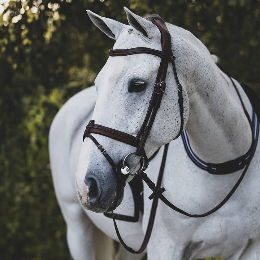 Precision anatomic comfort bridle