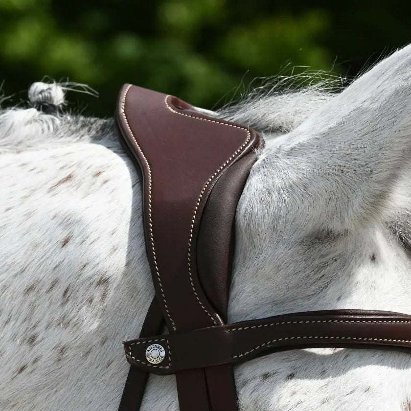 Precision anatomic comfort bridle