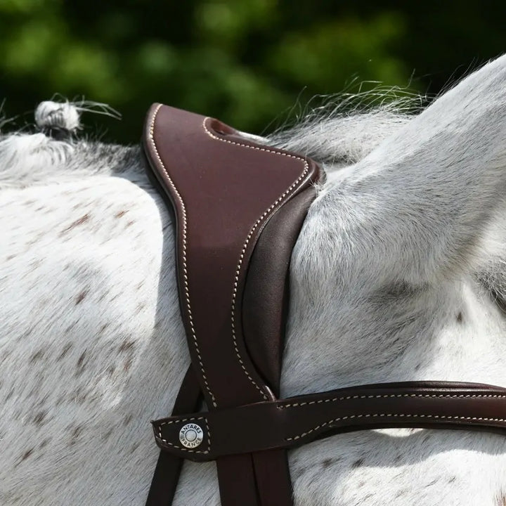 Precision anatomic comfort bridle